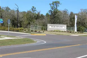 18562 Serene Lake Loop, Lutz, FL 33548 - Photo 28