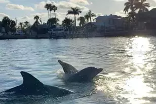 5448 Leeward Ln, New Port Richey, FL 34652 - Photo 86