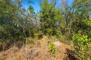9255 Grouse Way, Hudson, FL 34669 - Photo 4