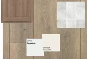 6347 Jensen Vw Ave, Apollo Beach, FL 33572 - Photo 4