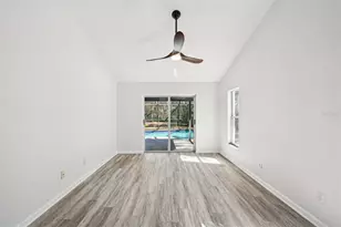 5620 Essex Ct, Palm Harbor, FL 34685 - Photo 58