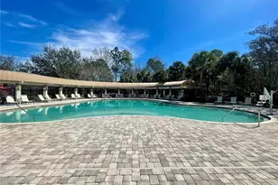 3458 Autumn Amber Dr, Spring Hill, FL 34609 - Photo 46