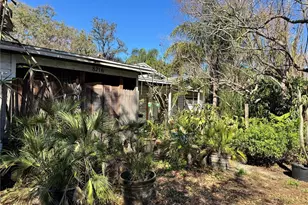 8716 N Temple Ave, Tampa, FL 33617 - Photo 8