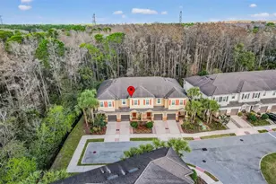 904 Vineyard Ln, Oldsmar, FL 34677 - Photo 38