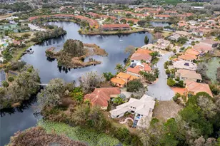 21150 Los Cabos Ct, Land O Lakes, FL 34637 - Photo 48