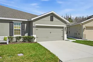 18093 Turning Leaf Cir, Land O Lakes, FL 34638 - Photo 1