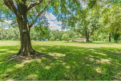 1453 Creek Road, Wesley Chapel, FL 33543 - Photo 8