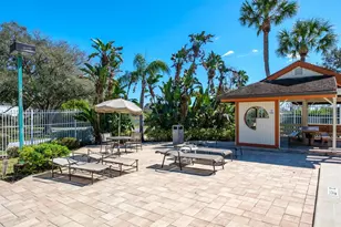 2860 Longleaf Ln, Palm Harbor, FL 34684 - Photo 58