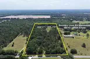 SW Boston Terrace, Fort White, FL 32038 - Photo 1