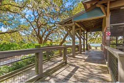 14310 Barrington Stowers Drive, Lithia, FL 33547 - Photo 74