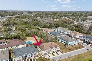 6867 Citrus Creek Ln, Tampa, FL 33625 - Photo 34