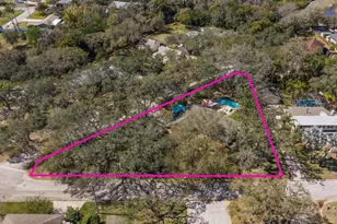 1921 Cardinal Rd, Dunedin, FL 34698 - Photo 2