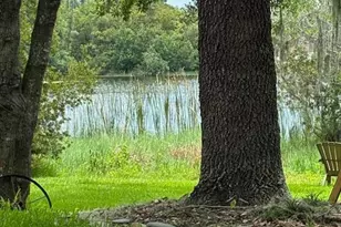 4850 Walnut Ridge Rd, Land O Lakes, FL 34638 - Photo 44