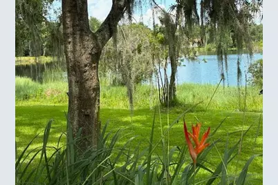 4850 Walnut Ridge Road, Land O Lakes, FL 34638 - Photo 42