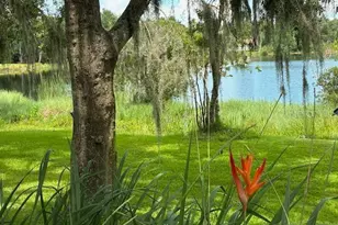 4850 Walnut Ridge Rd, Land O Lakes, FL 34638 - Photo 42