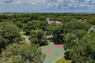 10022 Cannon Dr, Riverview, FL 33578 - Photo 52