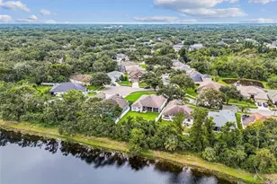 10022 Cannon Dr, Riverview, FL 33578 - Photo 42