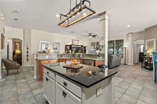 21417 Cypress Tree Ct, Land O Lakes, FL 34637 - Photo 14