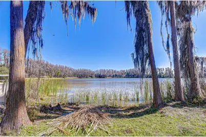 6608 Wisteria Loop, Land O Lakes, FL 34638 - Photo 1