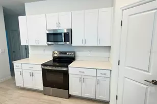 2318 Allium Roseum Ln, Plant City, FL 33565 - Photo 12