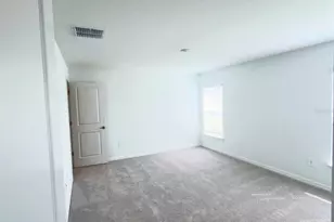 2318 Allium Roseum Ln, Plant City, FL 33565 - Photo 16