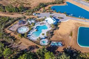 5608 Wandering Willow Dr, Wesley Chapel, FL 33545 - Photo 32