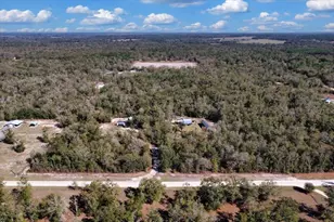 775 SW Choctaw Ave, Fort White, FL 32038 - Photo 46