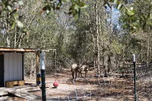 771 SW Choctaw Ave, Fort White, FL 32038 - Photo 36