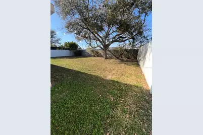 387 Tavernier Circle, Oldsmar, FL 34677 - Photo 50