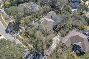 6109 Kingbird Manor Dr, Lithia, FL 33547 - Photo 60