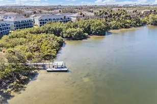 4607 Tuscan Loon Dr, Tampa, FL 33619 - Photo 38