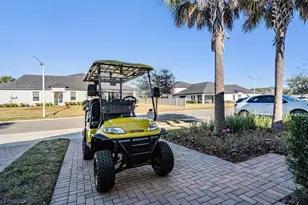 10334 Echo Dock Loop, San Antonio, FL 33576 - Photo 32