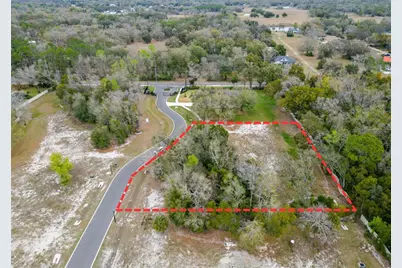 18469 Purple Creek Lane, Lutz, FL 33549 - Photo 6