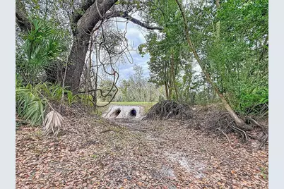 18469 Purple Creek Lane, Lutz, FL 33549 - Photo 18