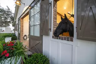 10101 Tarpon Springs Rd, Odessa, FL 33556 - Photo 42