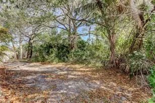 11403 Quiet Forest Dr, Tampa, FL 33635 - Photo 62