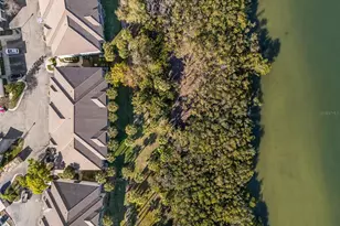 1037 Normandy Trace Rd, Tampa, FL 33602 - Photo 66