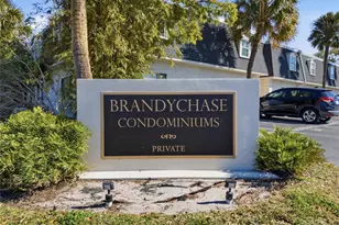 4335 Aegean Dr, Tampa, FL 33611 - Photo 24