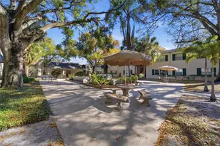 4335 Aegean Dr, Tampa, FL 33611 - Photo 26