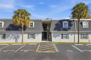 4335 Aegean Dr, Tampa, FL 33611 - Photo 18