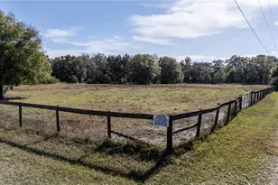 11560 Tarpon Springs, Odessa, FL 33556 - Photo 16