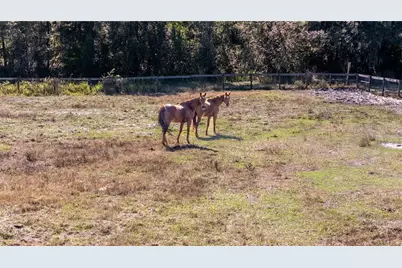 11560 Tarpon Springs, Odessa, FL 33556 - Photo 2