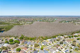 4511 Gulfwinds Dr, Lutz, FL 33558 - Photo 36