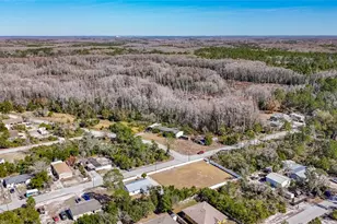 12832 Mountain Rd, New Port Richey, FL 34654 - Photo 58
