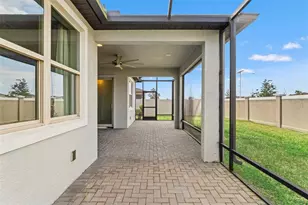 8184 Olive Brook Dr, Wesley Chapel, FL 33545 - Photo 46