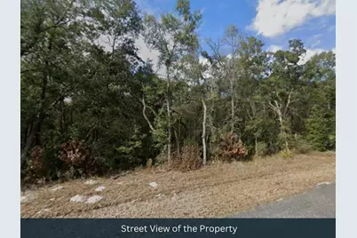 Nw 85th Avenue, Chiefland, FL 32626 - Photo 10