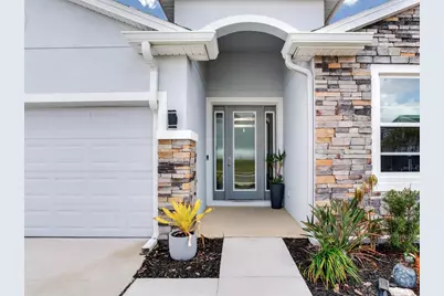 9822 Shoreline View Way, Wesley Chapel, FL 33545 - Photo 2