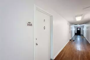 406 W Azeele St, Tampa, FL 33606 - Photo 6