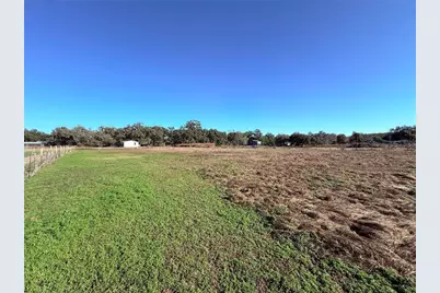 37466 Phelps Road, Zephyrhills, FL 33541 - Photo 46