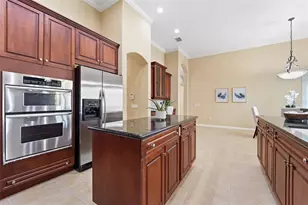 21235 Sky Vista Dr, Land O Lakes, FL 34637 - Photo 16